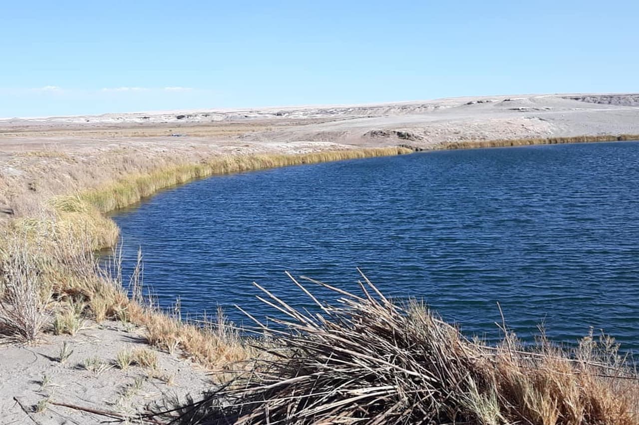 Lago de aguas tranquilas rodeado de desierto y montañas, en el chat de Calama