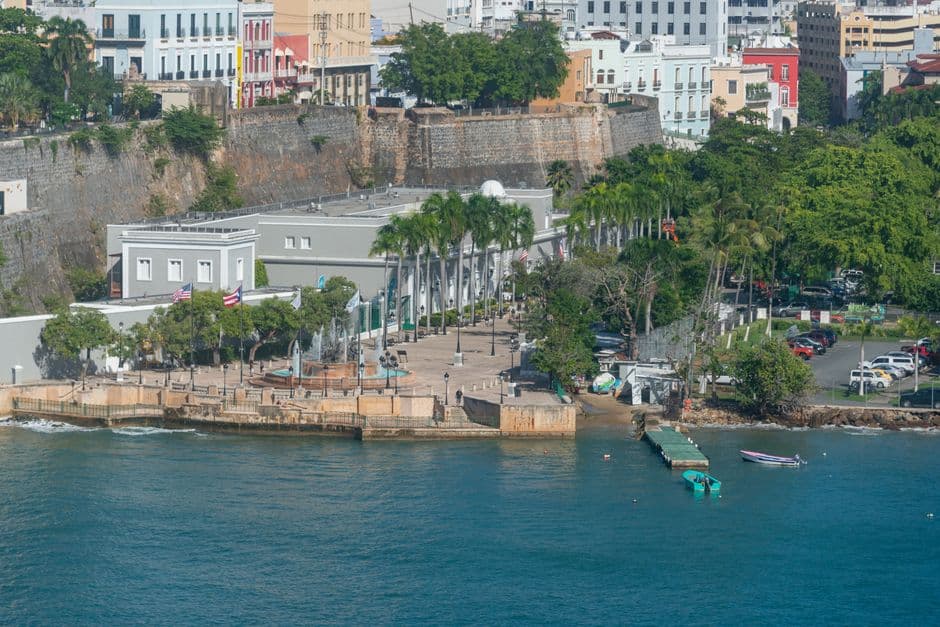 Árboles de un pueblo a la orilla del mar, en el chat de Dorado