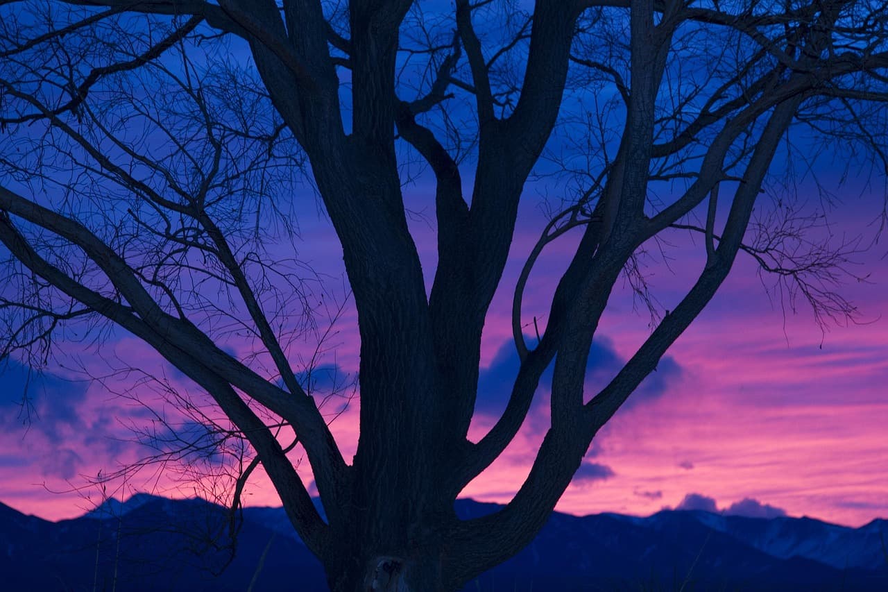 Puesta de sol sobre el paisaje de Mendoza, en el chat de La Paz