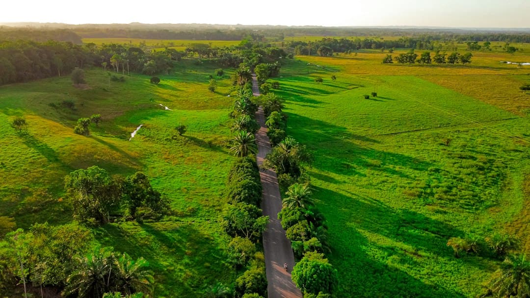 Vista aérea de un campo verde y frondoso, en el chat de Oiba