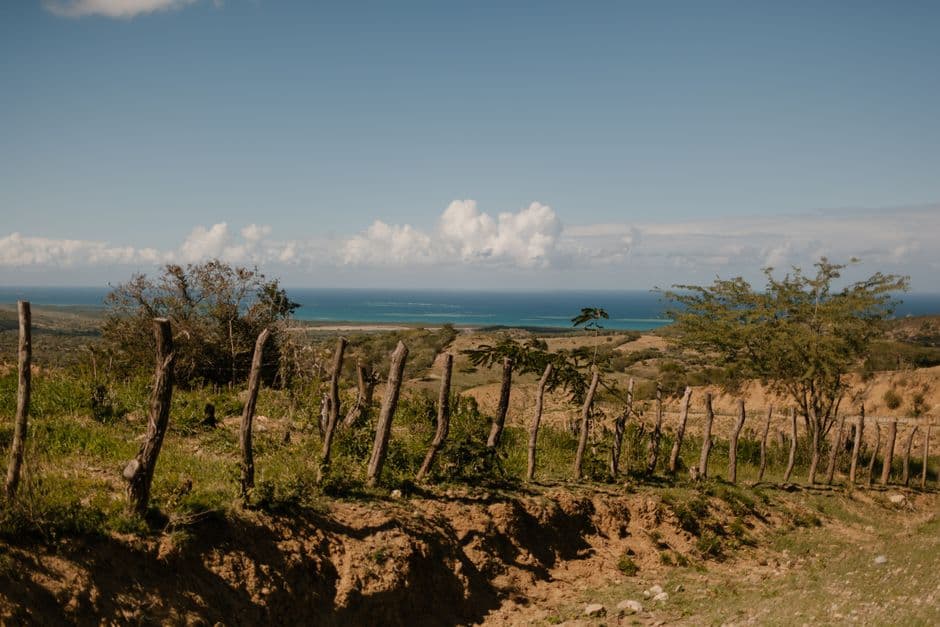 Cerca de troncos en un alto frente al mar, en el chat de Duvergé