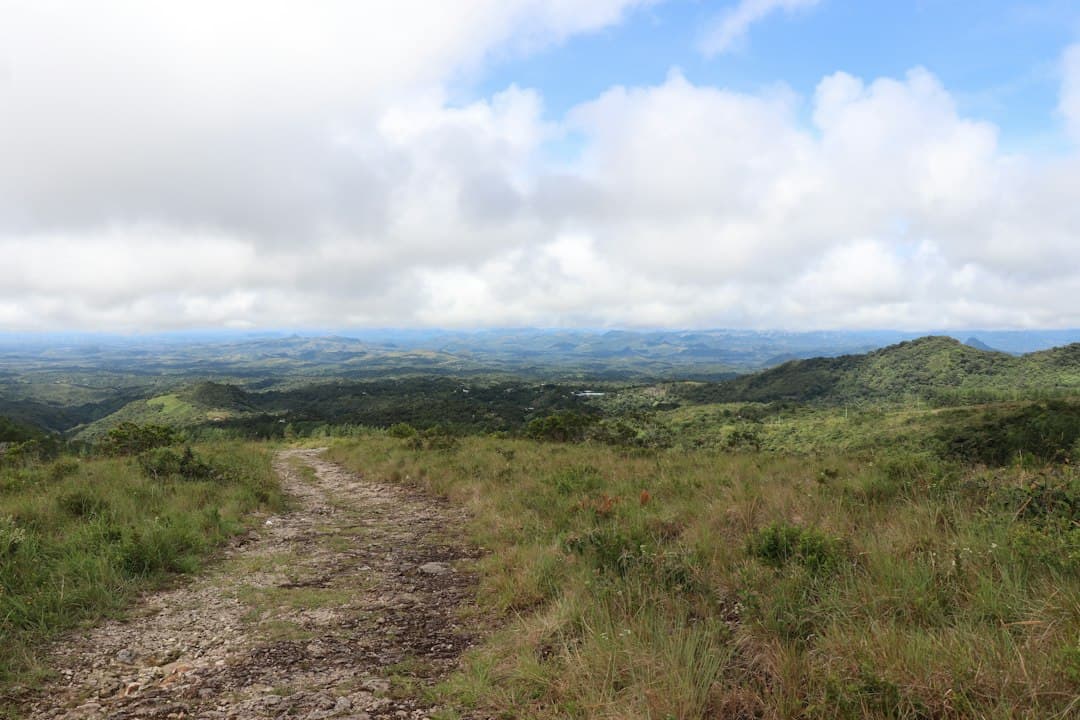Camino de tierra en medio de un campo de hierba, en el chat de Antón