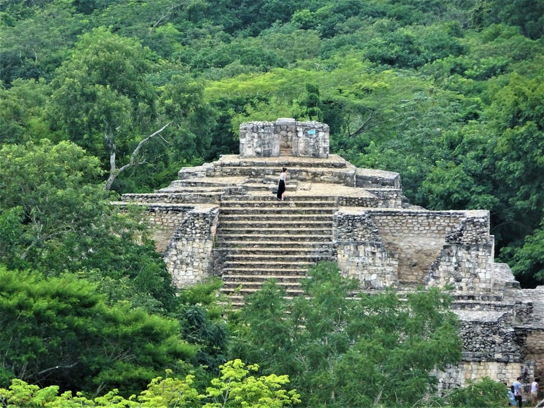 Una persona sobre una estructura de piedra rodeada de árboles, en el chat de Tinum