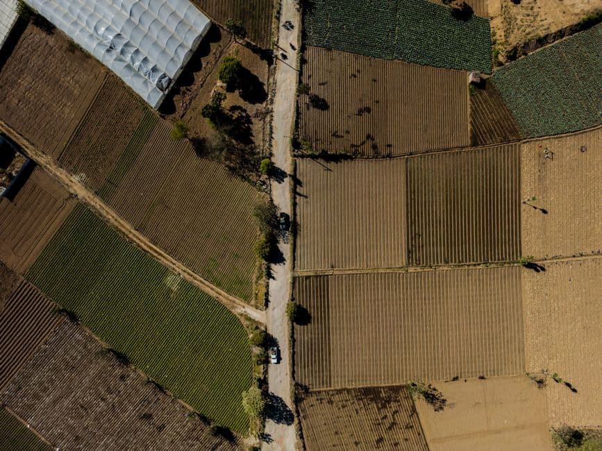 Camino de tierra entre campos de cultivo, en el chat de Tectitán