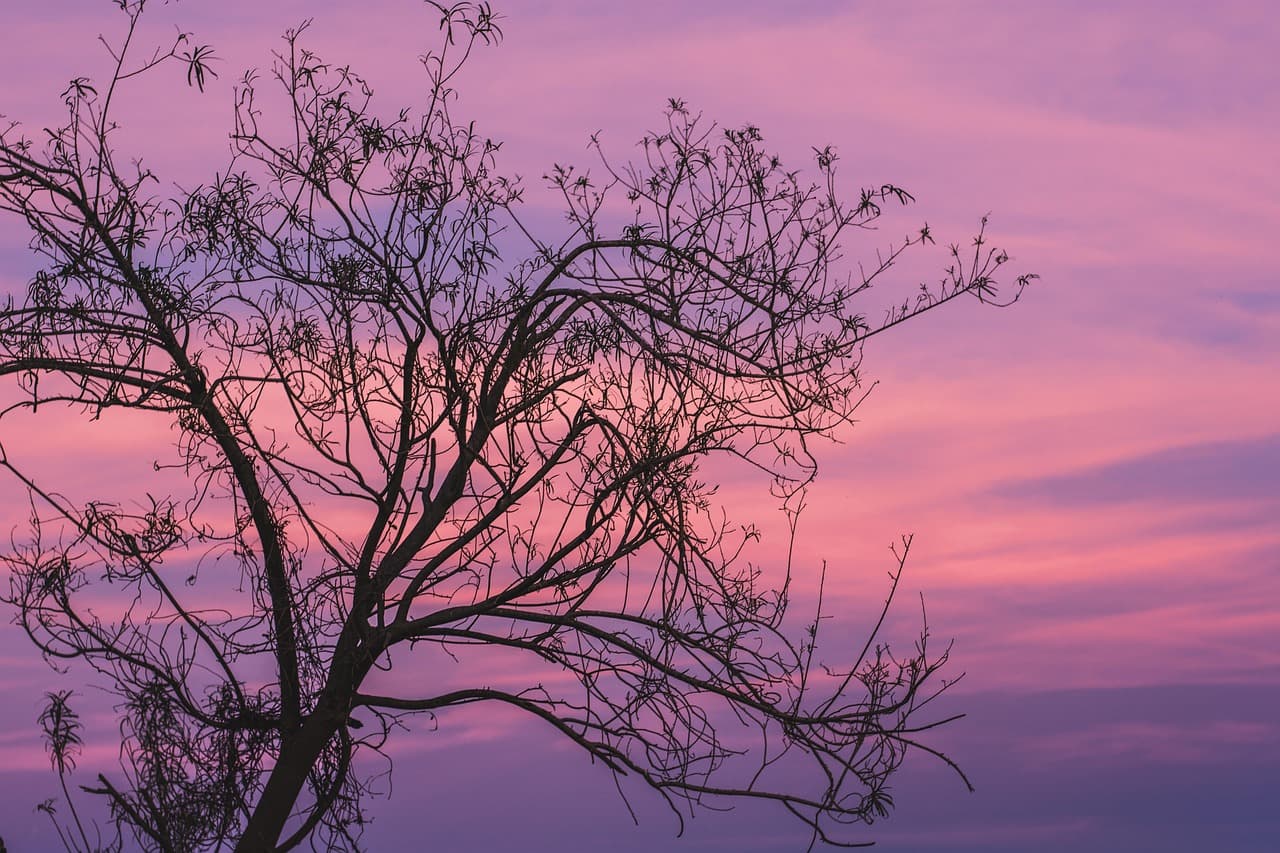 Atardecer sobre el paisaje con nubes, en el chat de Vaquería