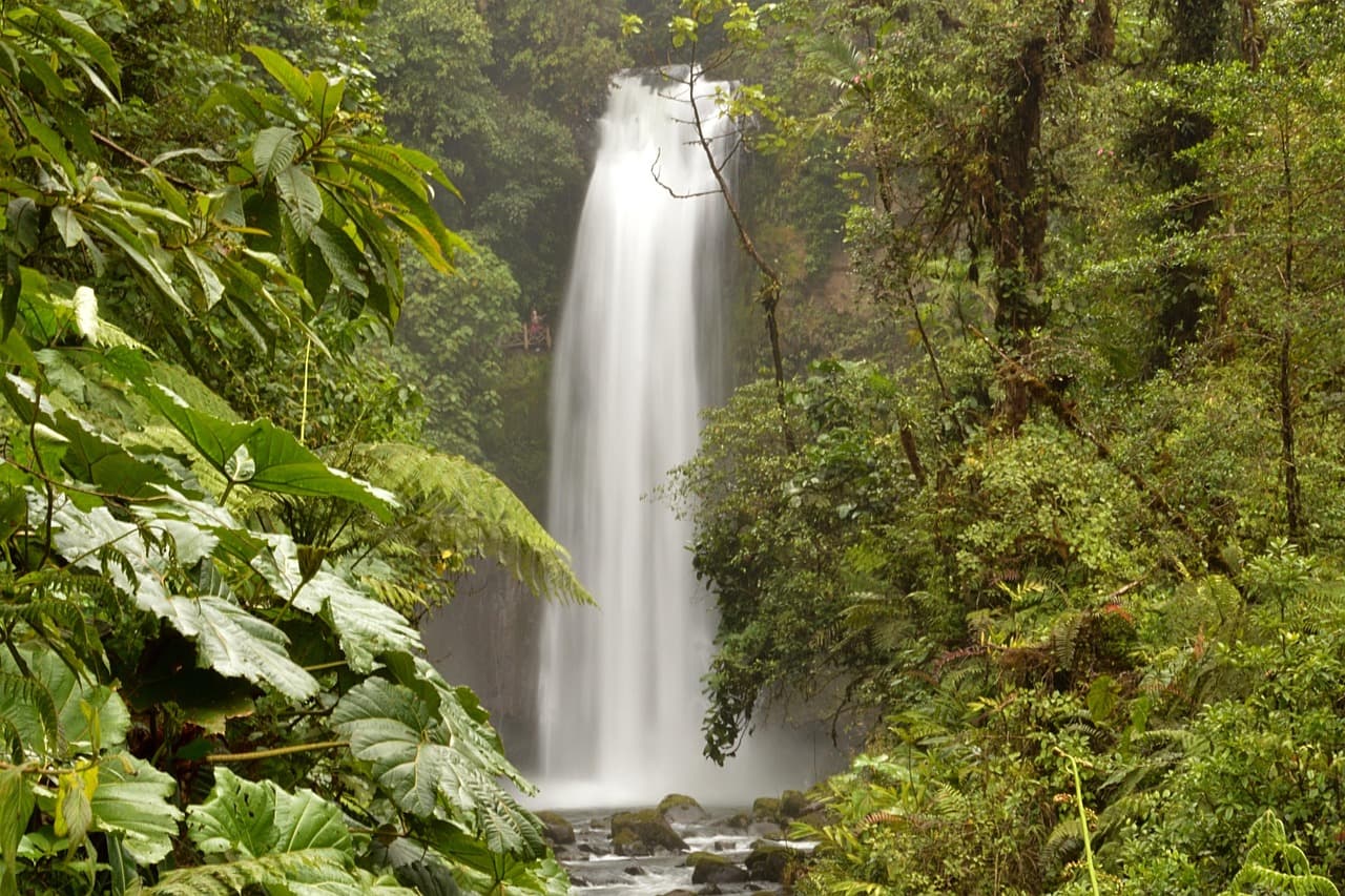 Un río de Costa Rica, en el chat de San Antonio