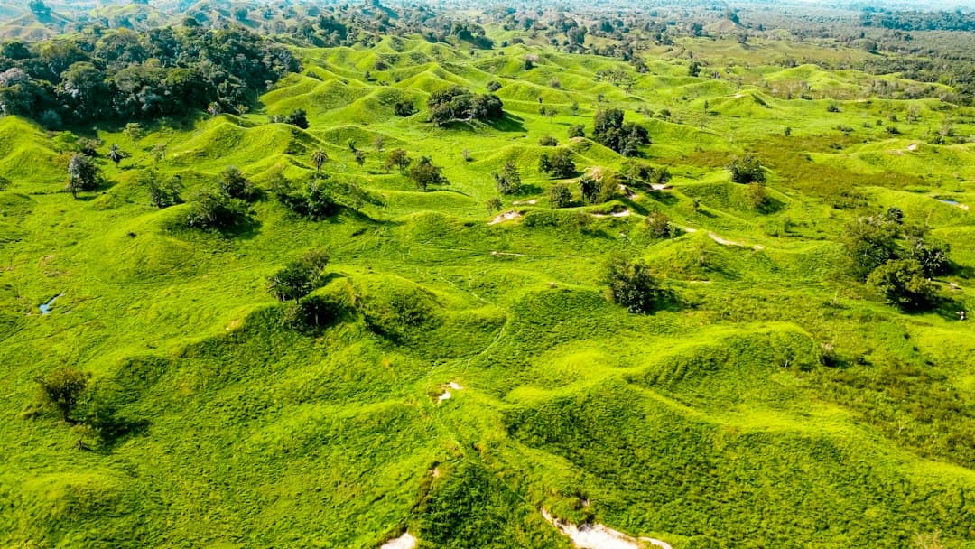 Vista aérea de un campo verde y frondoso, en el chat de Bolívar