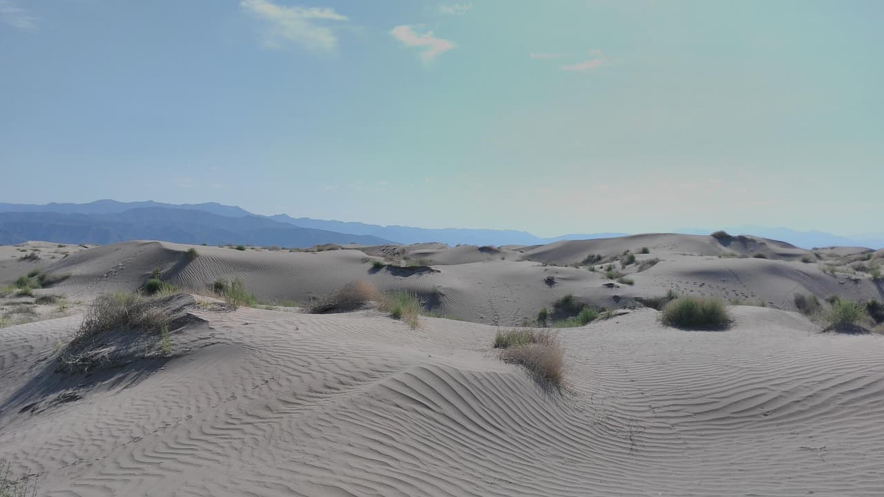 Dunas de arena en un paisaje desértico de México, en el chat de General Cepeda