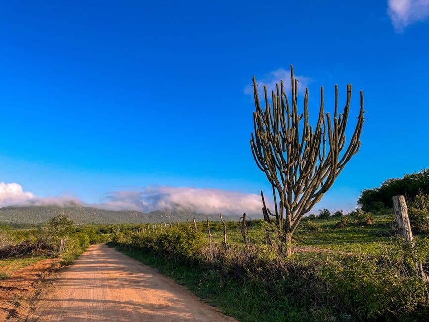 Carretera junto a un prado con montañas a lo lejos, en el chat de Sabana Larga