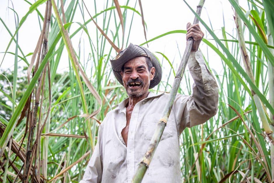 Un hombre sonriente sosteniendo una caña de azúcar, en el chat de Sucre
