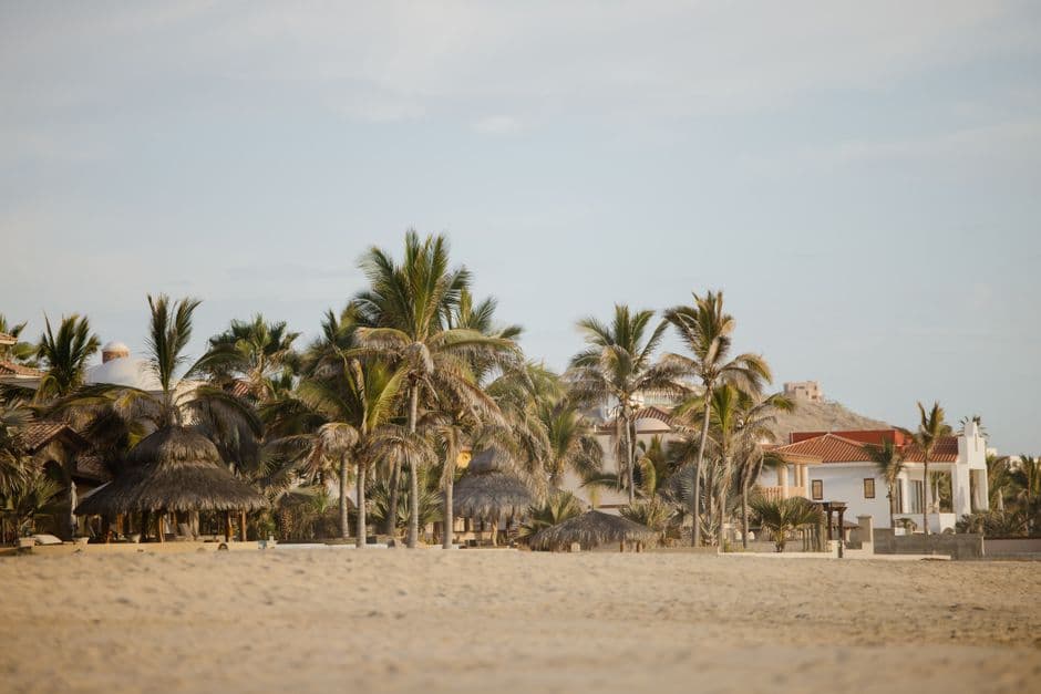 Palmeras alrededor de la playa de un pueblo, en el chat de Casas Grandes