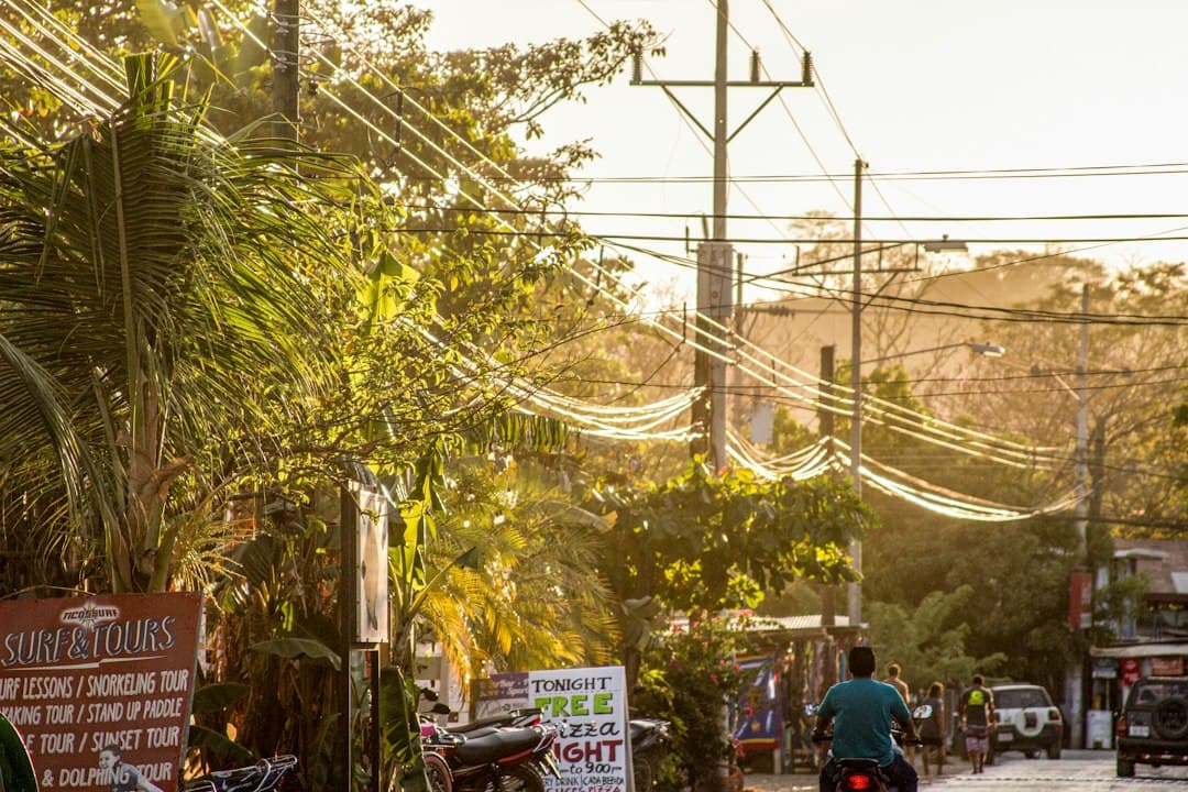Calle tropical con palmeras y tendido eléctrico, en el chat de Sabanilla