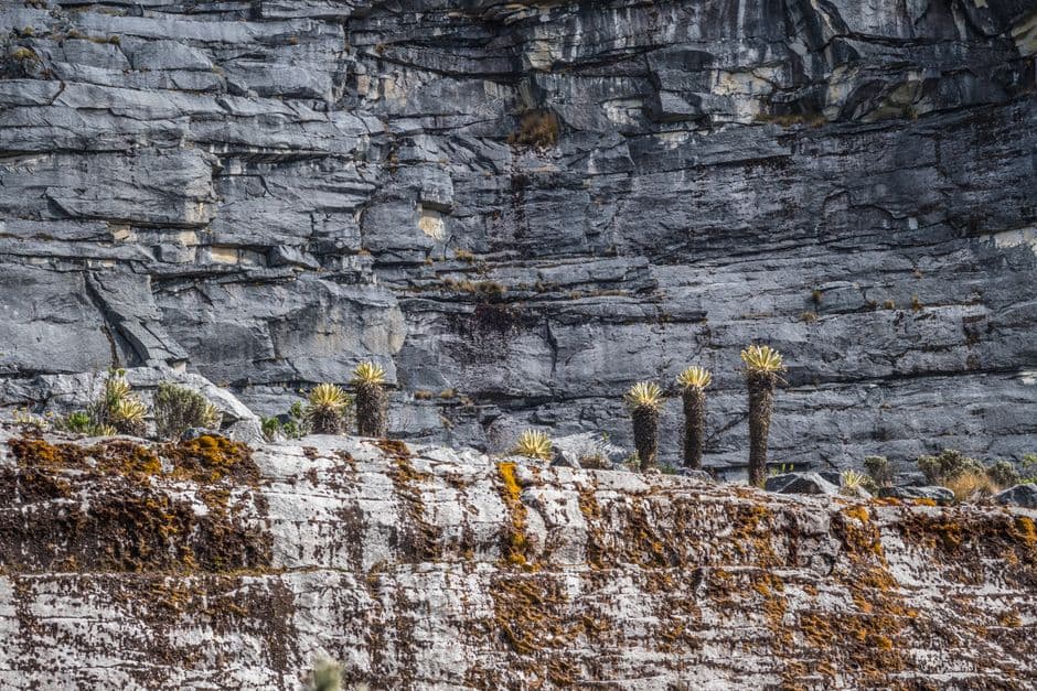 Formación rocosa con plantas creciendo sobre ella, en el chat de Lajas