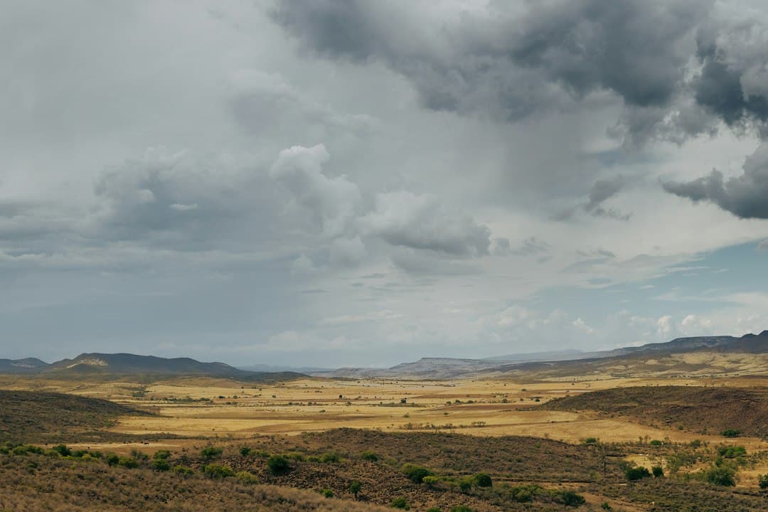Campo de hierba verde bajo nubes blancas de día, en el chat de Batopilas de Manuel Gómez Morín