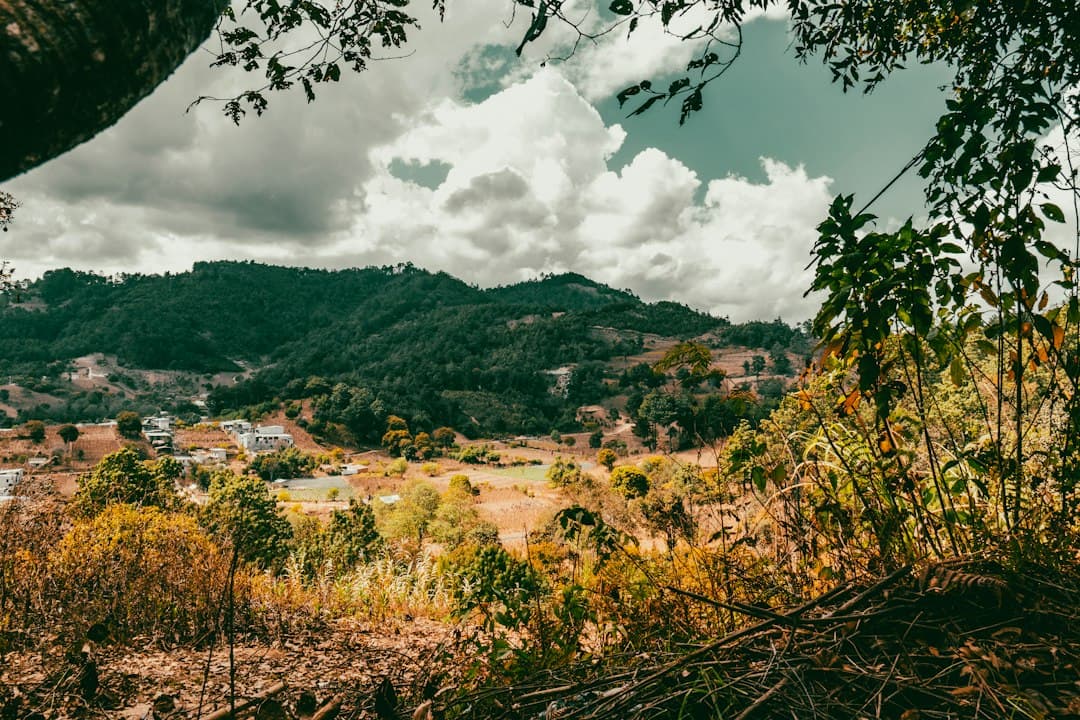 Montañas verdes y frondosas bajo un cielo nublado, en el chat de Moyuta