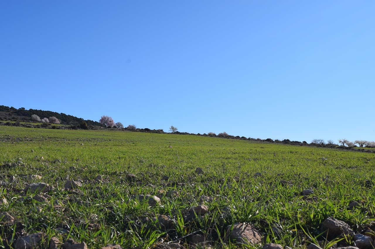 Paisaje de campo abierto, en el chat de Las Matas de Santa Cruz