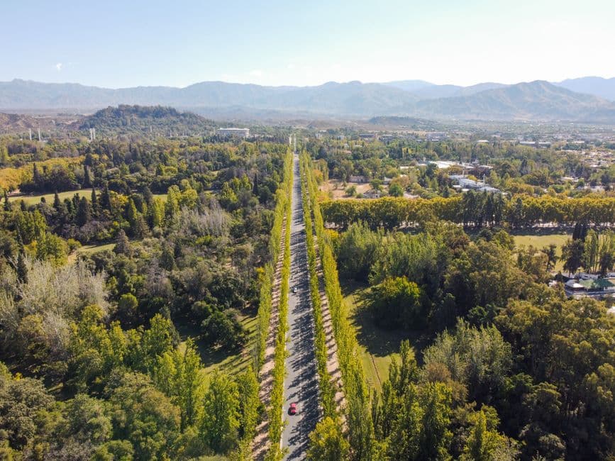 Vista aérea de una carretera entre árboles y bosque, en el chat de Buena Nueva