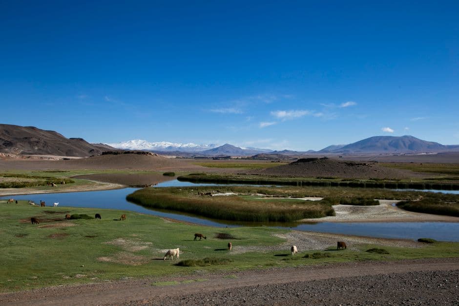 Río que atraviesa una llanura, en el chat de Andacollo