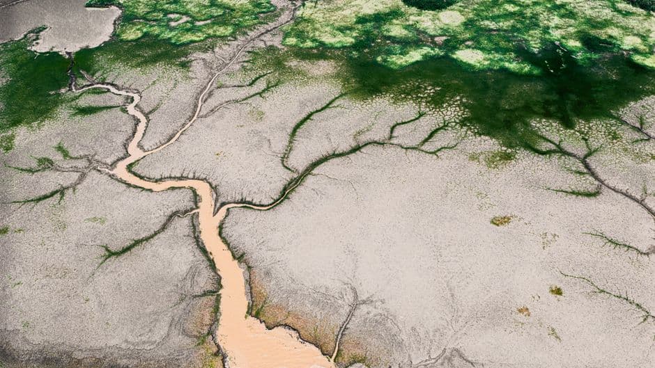 Vista aérea de un delta fluvial con algas verdes, en el chat de Imataca