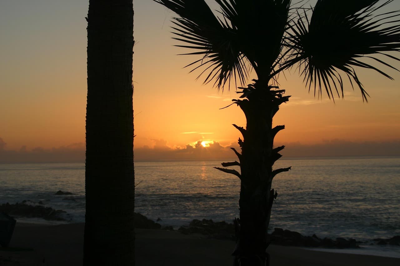 Amanecer tropical con palmeras en la costa de México, en el chat de Cabo Corrientes