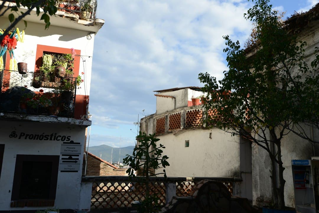 Edificios antiguos junto a un árbol bajo un cielo nublado, en el chat de Atlahuilco