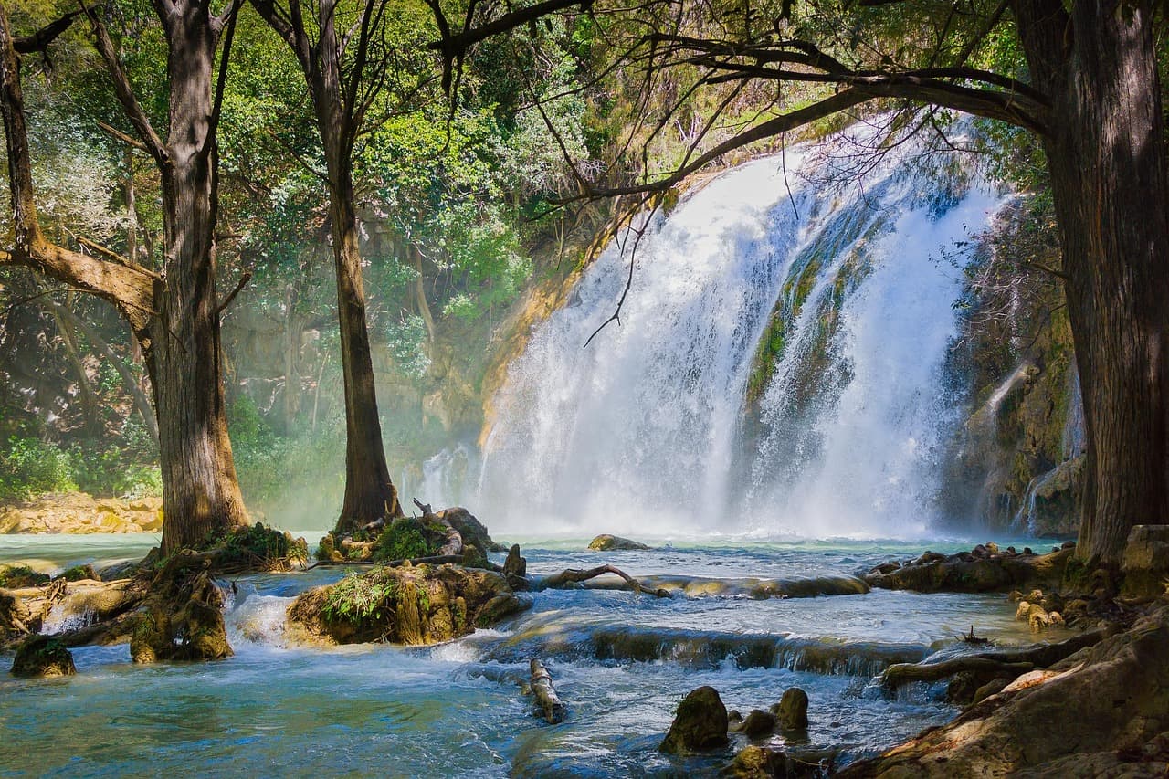 Río entre la selva de Chiapas, en el chat de Soyaló