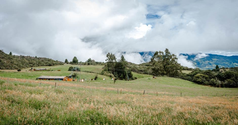 Campo verde, en el chat de Yacopí