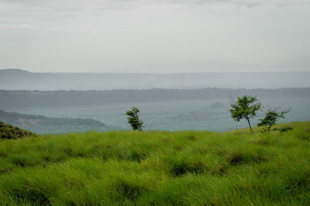 Zona de hierba con árboles y agua al fondo, en el chat de Nandasmo