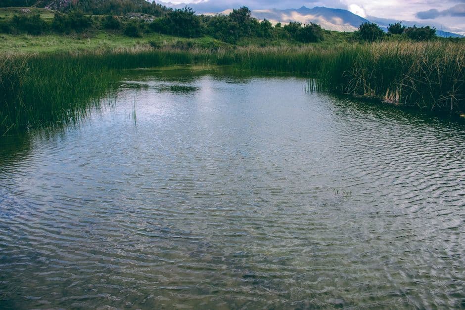 Lago tranquilo rodeado de paisaje peruano, en el chat de Oyotún