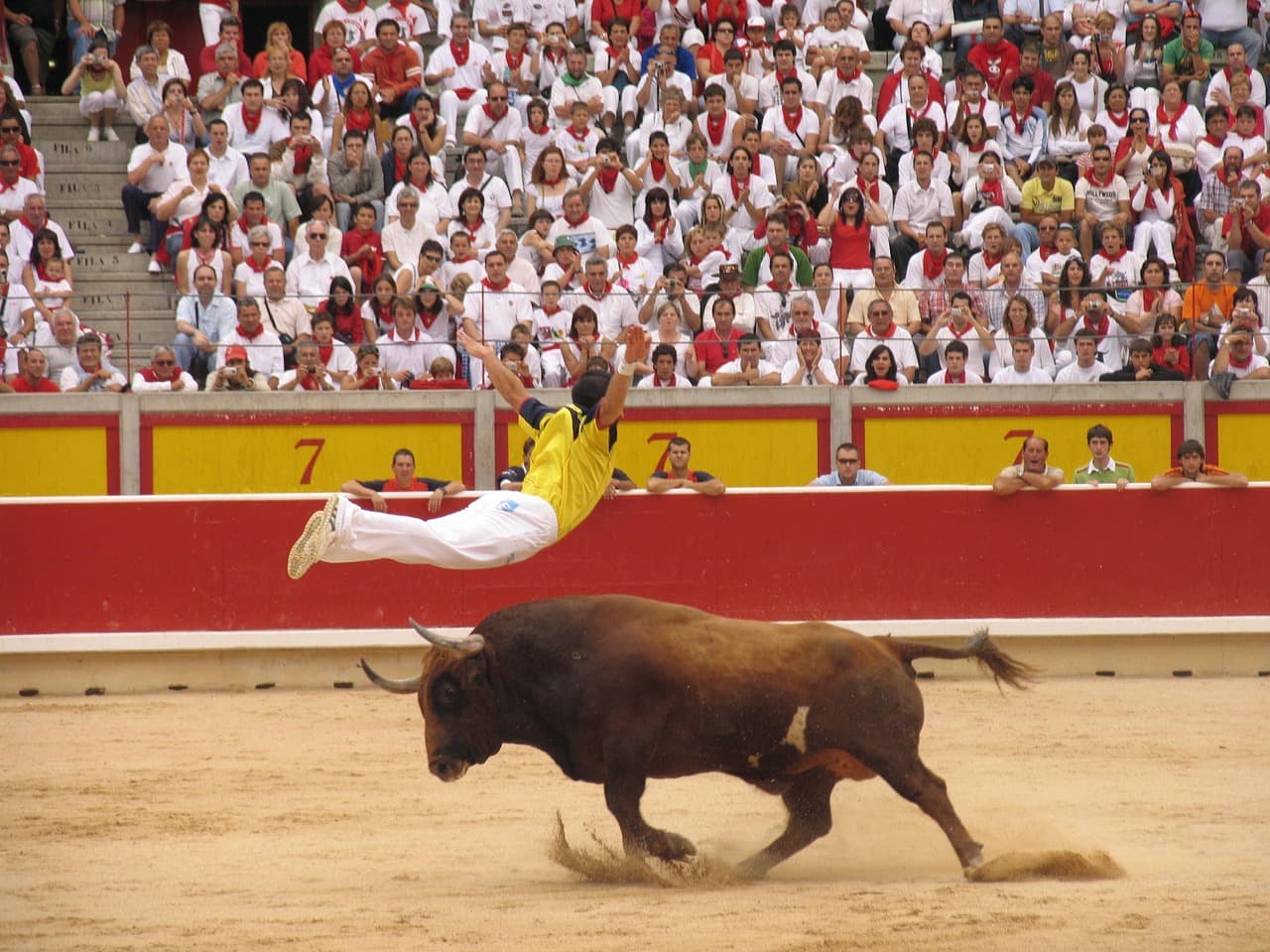 Plaza de toros, en el chat de Toro Toro
