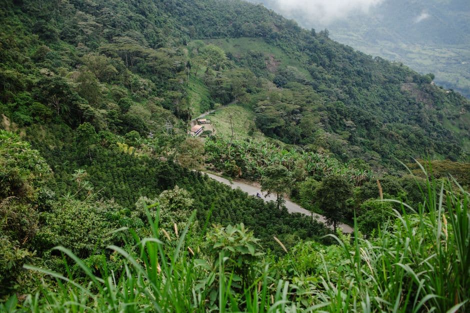 Paisaje de montaña verde y frondoso en Colombia, en el chat de Angostura
