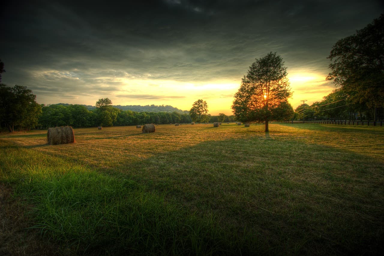 Campo de cultivo y granja en un paisaje rural, en el chat de Regidor