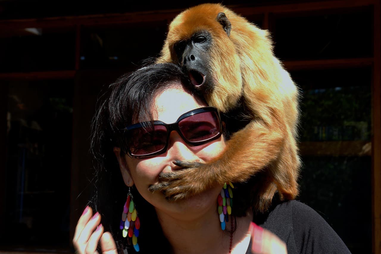 Mujer vacaciones con gafas de sol y mono, en el chat de Santa Cruz el Chol