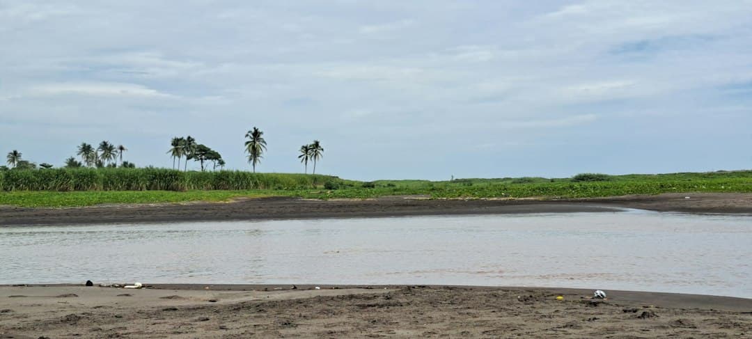 Lámina de agua con palmeras al fondo, en el chat de Nahulingo