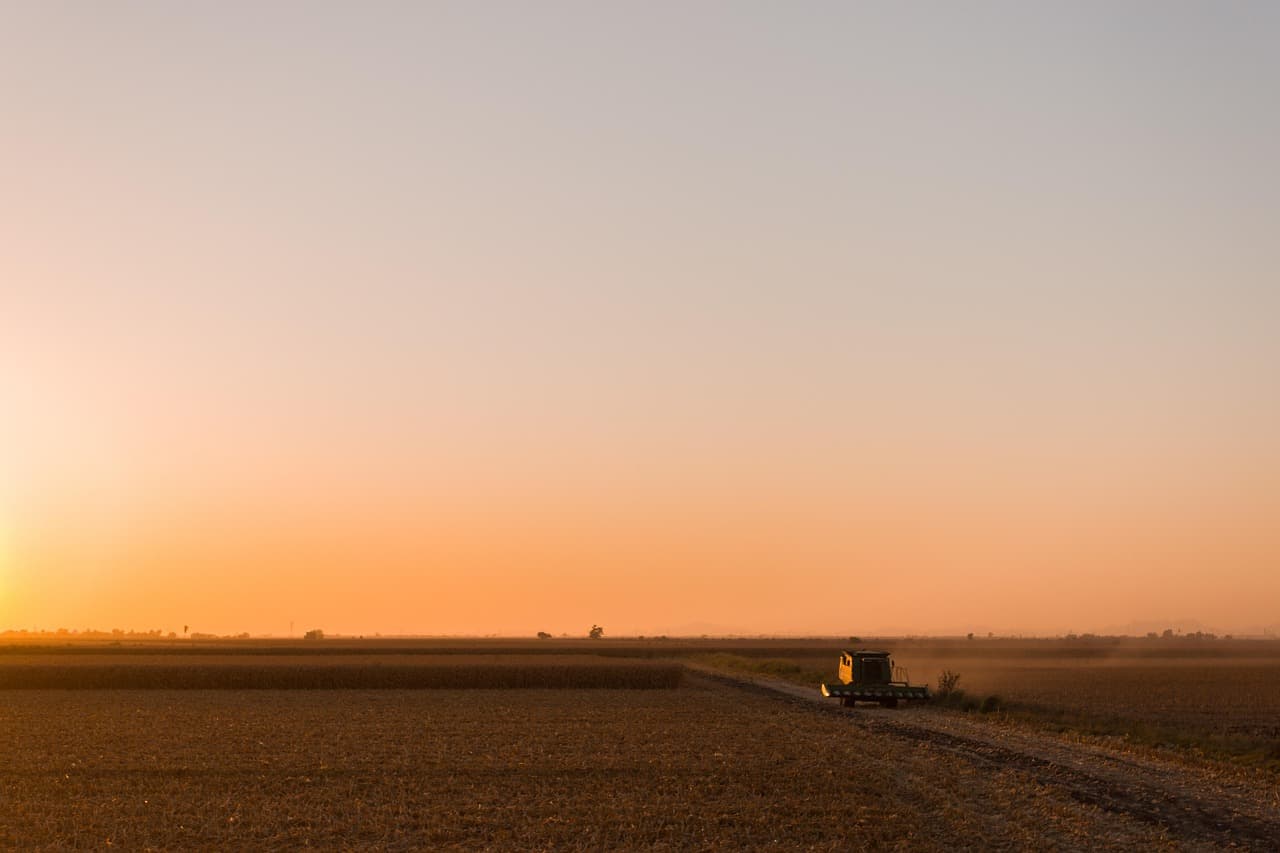 Tractor en el campo al atardecer, en el chat de Nuevo Progreso