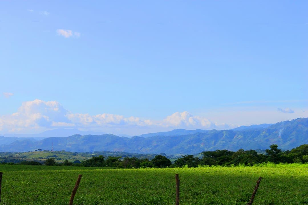 Campo verde y frondoso con montañas al fondo, en el chat de Turín