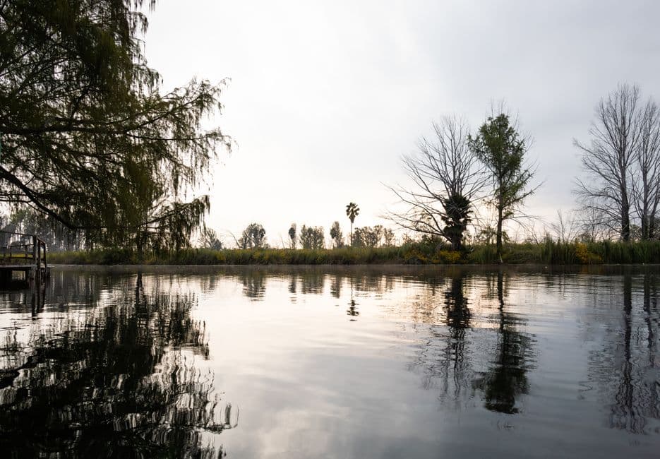 Paisaje tranquilo de una laguna, en la sala de chat de San Luis Río Colorado