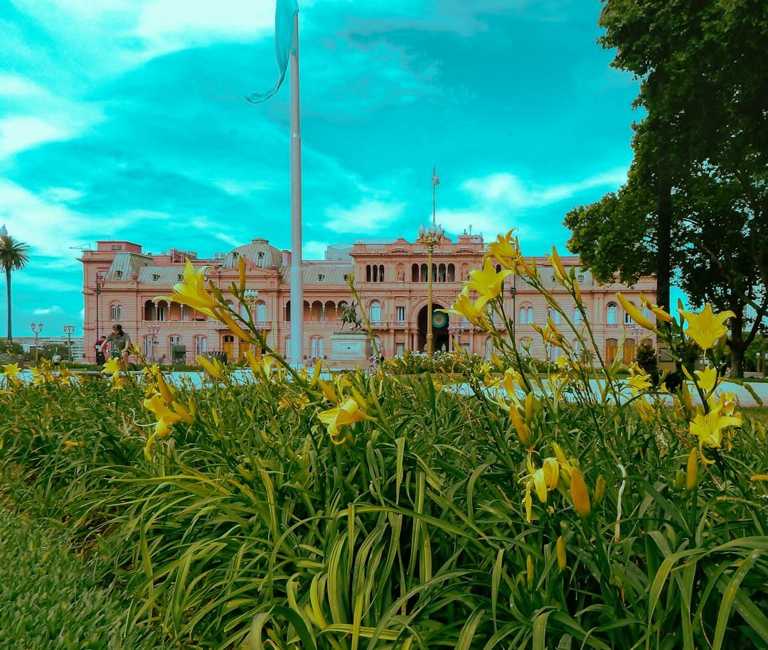 Plantas verdes junto a un edificio de hormigón marrón, de día, en el chat de San Juan Bautista Tuxtepec