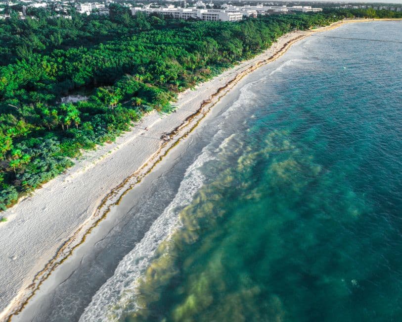 Arena y mar turquesa bajo cielo claro, en la sala de chat de Playa del Carmen