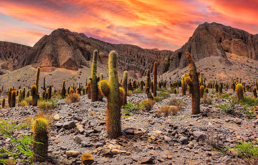 Vista de Salta, Argentina