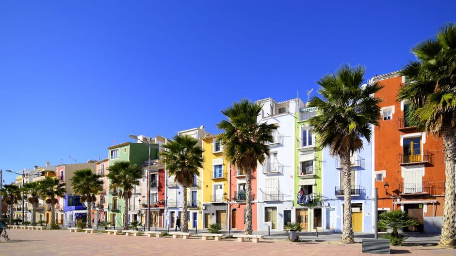 Palm trees verdes cerca de un edificio de colores, en la sala de chat de Villajoyosa
