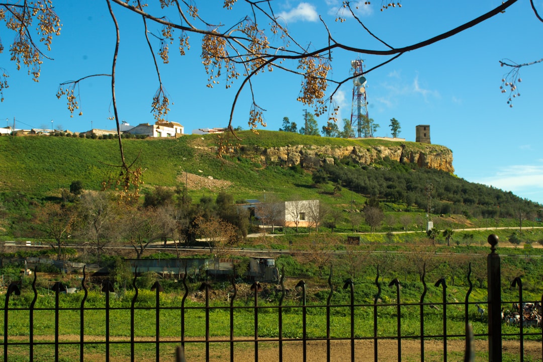 Foto de Carmona