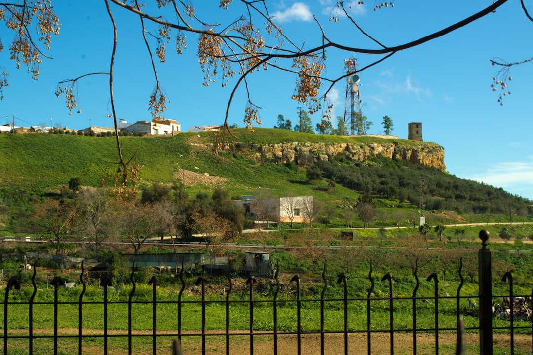 Colina verde con casa en la cima, vista tranquila, en la sala de chat de Carmona