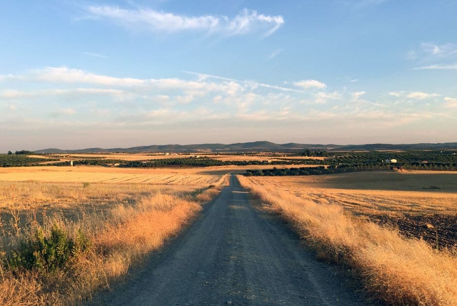 Camino de tierra entre pastizales marrones, en la sala de chat de Badajoz