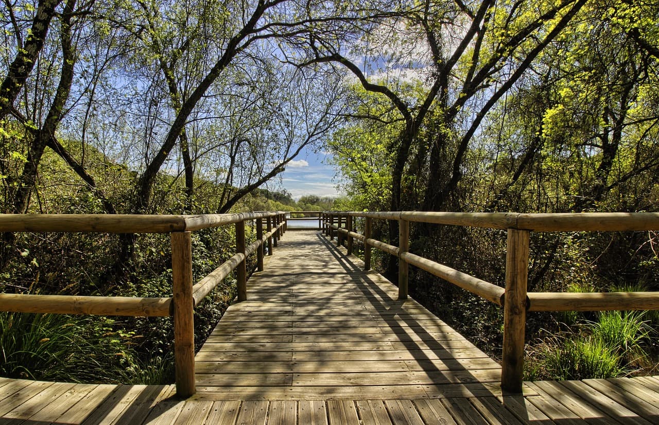 Paisaje natural de Doñana en Huelva, en la sala de chat de Almonte