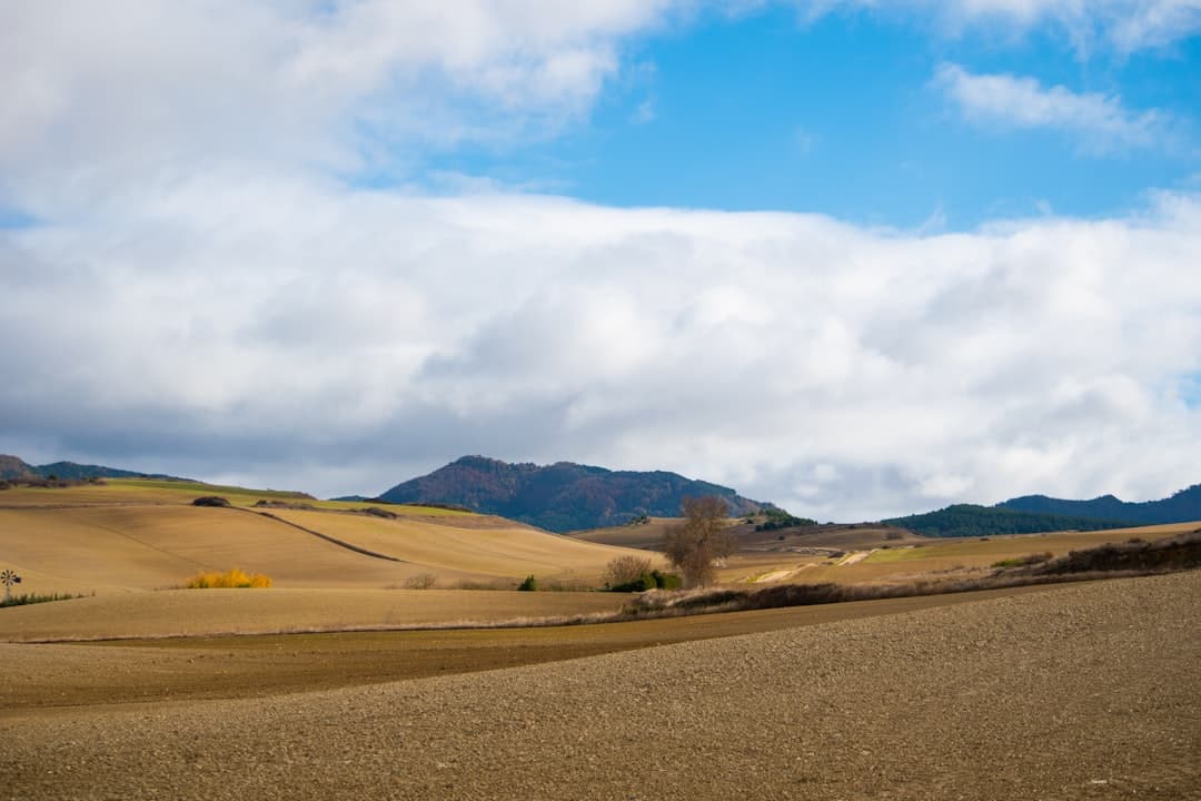 Vista de Los Llanos de Aridane, España