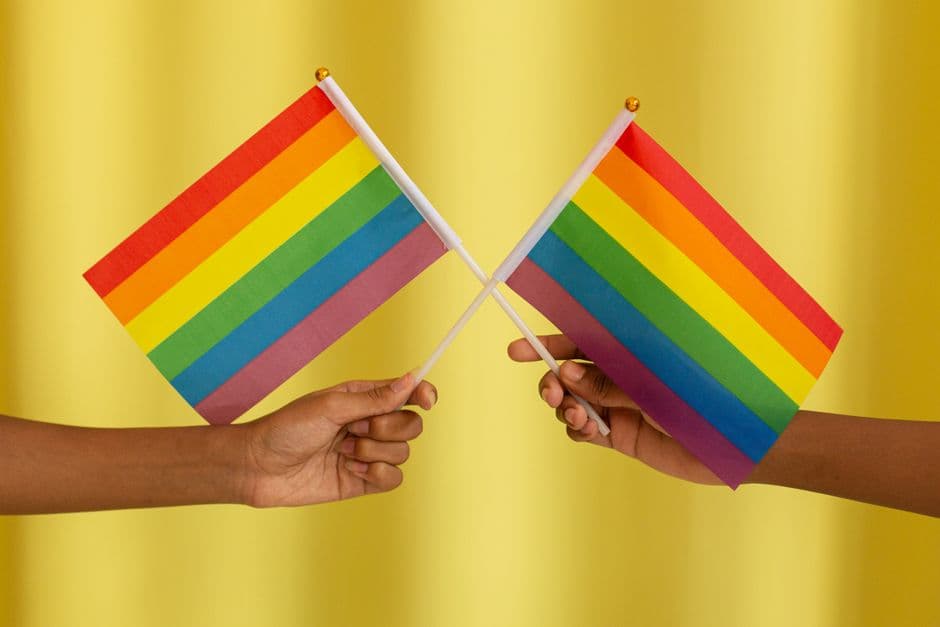 Dos personas sostienen una bandera arcoíris de orgullo, en la sala de chat de Orgullo LGBTQ+