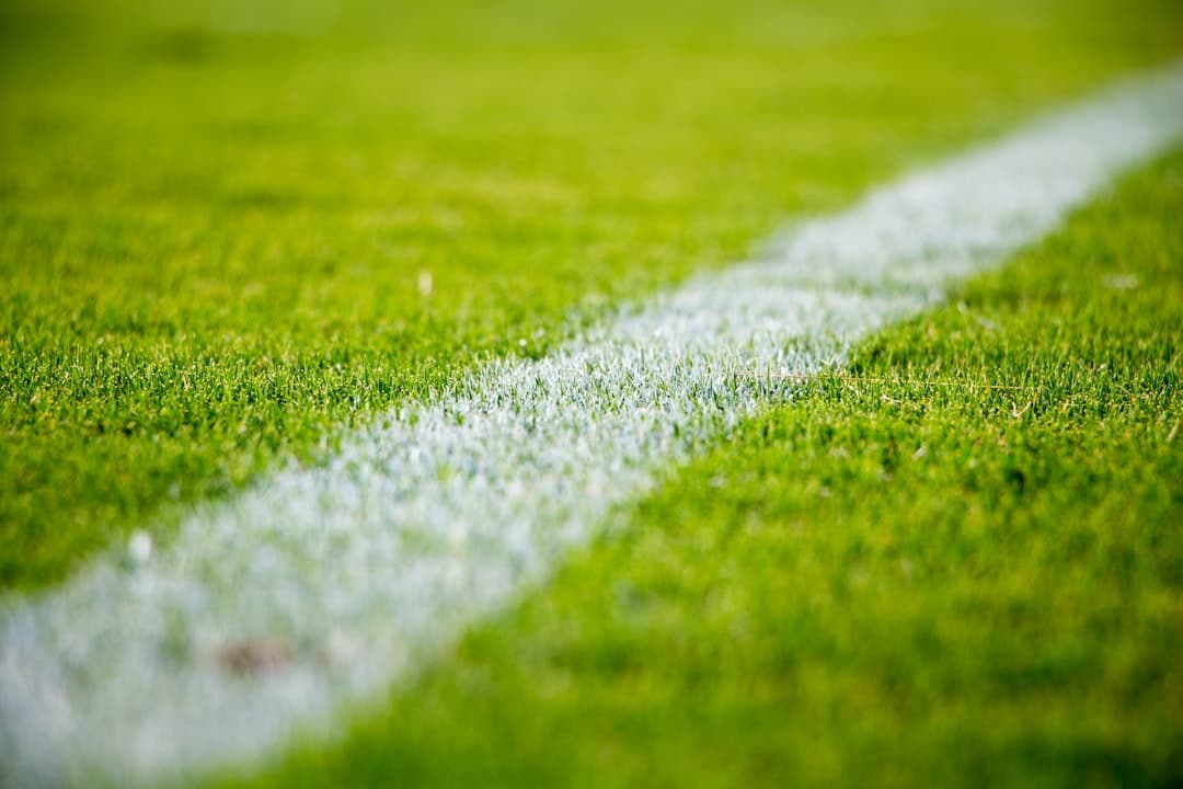 Línea blanca sobre césped verde de un campo de fútbol, en el chat de Deportivo Alavés