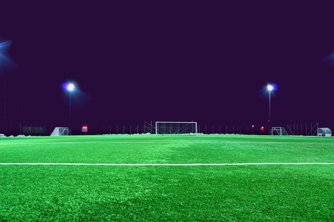 Campo de fútbol verde con porterías y líneas blancas, en el chat de RCD Espanyol