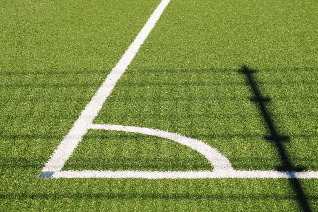 Campo de fútbol con líneas blancas, en la sala de chat de Real Oviedo
